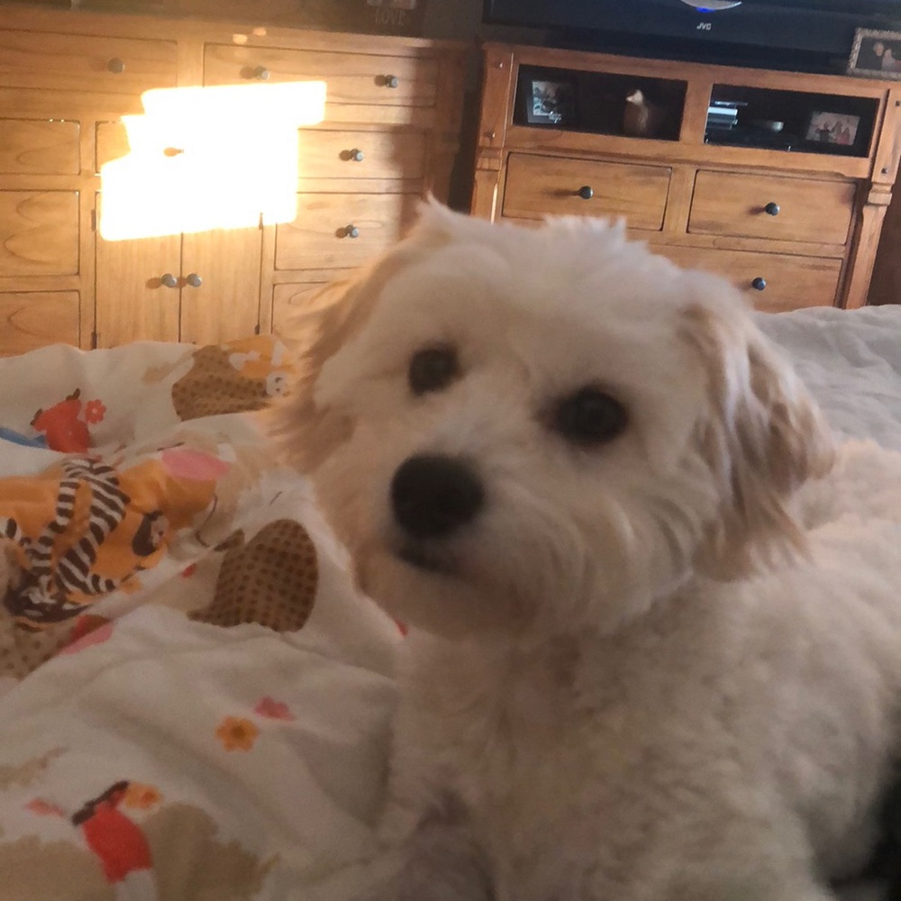 Meet your Posher, Michele